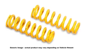 RAM 1500 DS (Classic) King Springs Lifted Coils